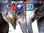 Welcome To Our World American 3 - Student's Book With Online Practice And Student's Ebook - All Caps - Second Edition - Imagem 1