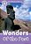 Wonders Of The Past - Oxford Read And Discover - Level 4 - Imagem 1
