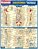 Resumao - Anatomia Profunda & Posterior - Imagem 1