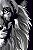 Bíblia NVT Lion Colors Black And White Pop - Letra Normal Nova Versão Transformadora - Imagem 1