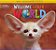 Welcome To Our World British 1 - Workbook With Audio CD - Imagem 1