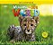 Welcome To Our World British 3 - Workbook With Audio CD - Imagem 1
