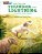Our World American 5 - Reader 1 - The Tale Of Thunder And Lightening: A Folktale From Nigeria - Book - Imagem 1
