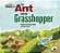 Our World British 2 - Reader 3 - The Ant And The Grasshopper: Based On An Aesop's Fable - Book - Imagem 1