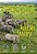 African Savanna - Life Science Ladders - On-Level - Imagem 1
