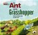 Our World British 2 - Reader 3 - The Ant And The Grasshopper: Based On An Aesop's Fable - Big Book - Imagem 1