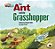 Our World American 2 - Reader 3 - The Ant And The Grasshopper: Based On An Aesop´s Fable - Big Book - Imagem 1
