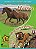 Horses / MR Carter's Plan - Macmillan Children's Readers - Level 6 - Imagem 1
