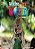 Welcome To Our World American 1 - Student's Book With Worbook - All Caps - Second Edition - Imagem 1
