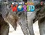 Welcome To Our World 3 - Student's Book With Spark And Activity Book - All Caps - Imagem 1