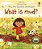 What Is Mud? - Lift-The-Flap Very First Questions And Answers - Imagem 1