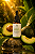 Óleo de Abacate Naturalini Hidratação Nutrição Pele e Cabelos 30ml - Imagem 2