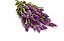 Removedor Lavanda 1L King - Imagem 2