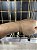 PULSEIRA ELO BAIANO 2MM BANHADA A OURO 18K - Imagem 1
