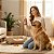 Deo Colônia Perfume Para Cães e Gatos Club Pet Vegano Guaraná e Açaí 60ml - Imagem 2