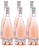 Sancerre Rosé J. de Villebois 2020 - caixa c/6 - Imagem 1