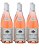 Pinot Noir Rosé J. de Villebois IGP Vale do Loire 2023 - caixa c/6 - Imagem 1