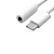 Adaptador P2 para Tipo C / Type C - Verde - Imagem 4