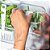 Organizador De Temperros Clear Fresh 2,3l Cozinha Geladeira - Imagem 5