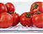 Organizador De Geladeira Porta Frutas Legumes 5l Clear Fresh - Imagem 7