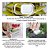 Kit 6 Organizadores Clear Fresh 2,2l Com Cesto Legumes Fruta - Imagem 4