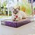 Arranhador Brinquedo Para Gato Petlon Papelão + Catnip Erva - Imagem 9
