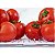 2 Organizadores De Geladeira 5l Porta Frutas Clear Fresh Ou - Imagem 7