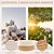 Kit 2 Cesto Organizador Branco Pequeno Multiuso Natural - Imagem 3