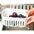 Kit 3 Organizador De Geladeira Ou Clear Fresh 650ml Natural - Imagem 6
