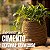 Vaso Cachepot Decorativo Em Cimento Trançado Natural 20cm - Imagem 5