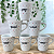 Jogo 6 canecas Cônicas 120ml Poá Colorido - Porcelana - Imagem 3