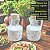 Kit Galheteiro Decorado 2 pçs 250ml Arabesco  - Porcelana - Imagem 5