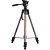 Tripé Greika WT-3770 para Câmeras DSLR e Smartphones - Imagem 1