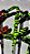Suporte DB Piratamba 2 cores - Imagem 3