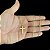 CORRENTE CARTIE  (1.5mm- 70/60cm) + PINGENTE CRUZ DETALHADA    - BANHADO A OURO 18K - Imagem 1
