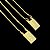ESCAPULÁRIO CONVENCIONAL  NOSSA SENHORA E JESUS CORRENTE VENEZIANA (1.8MM 60cm ou 70cm) -  BANHADO A OURO 18k - Imagem 1