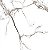 Piso 82X82 A Retificado Hd Gran Calacata Polido CX2,70 - Imagem 3