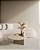 Ripa 45X90 A Retificado Pietra Beige Acetinado Lata CX2,00 Biancogre - Imagem 2