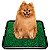 Sanitário Canino Xixi Dog Com Grama - Imagem 1