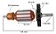 Induzido Completo do Martelete 820w Bosch GBH 2-24D 220v - Imagem 3