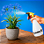 Kit 2 Borrifador Vonder Pu 010 Manual 1 Litro Jardim Limpeza - Imagem 6