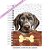 Caderneta Pet Cachorro Weimaraner - Imagem 1