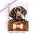 Caderneta Pet Cachorro German Shorthaired Pointer - Imagem 1
