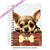 Caderneta Pet Cachorro Chihuahua - Imagem 1