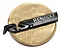 Emblema Rs Renault Volante Sport Clio Sandero Megane Duster - Imagem 1