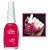 ESMALTE COLORAMA PURO GLAMOUR - Imagem 1