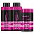 Kit Eico Tratamento Rosa Mosqueta 450ml Máscara 1kg 3 Itens - Imagem 1