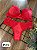 Conjunto clássico lingerie Calcinha Fio P e G - Imagem 6