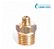 União Redutora 1/2  Npt (e) X 1/8  Npt (e) - Imagem 2