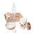 KIT HIGIENE PLASUTIL DECORA BEAR CREME - Imagem 3